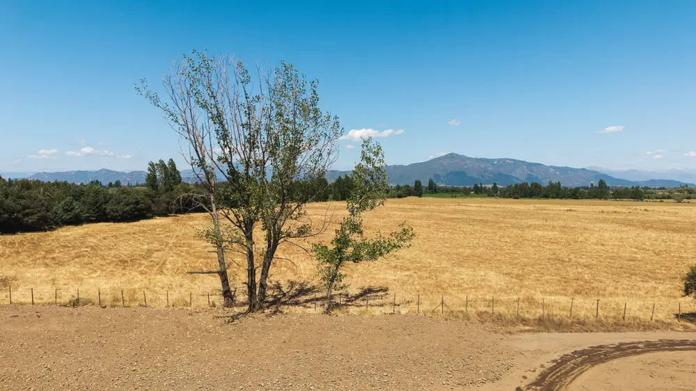 Campo agrícola en la zona de Romeral